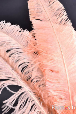 Struisvogel gesneden - 50-60 cm - zalmroze